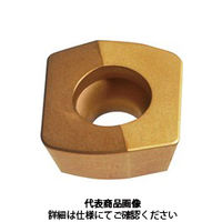 MOLDINO ASR用インサート EDNW15T4TNー15Z:JP4120 1セット(10個)（直送品）