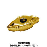 MOLDINO BCU用インサート ZCET250CEーN:CY250 1セット(2個)（直送品）