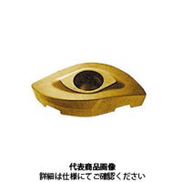 MOLDINO BCF用インサート ZCEW200CE:CY250 1セット(2個)（直送品）