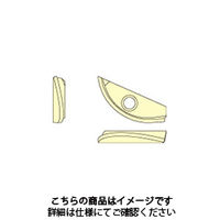 MOLDINO ABP4F用インサート ZDFG250SE:ATH10E 1セット(2個)（直送品）