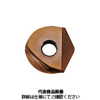 MOLDINO ABPF用インサート ZDFG100ーST:PN15M 1セット(2個)（直送品）