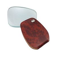 池田レンズ工業 ポケットルーペ 3190N 1個（直送品）