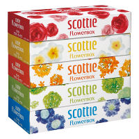 【歳末セール】ティッシュペーパー　160組（5箱入）　スコッティフラワーボックス　日本製紙クレシア