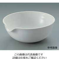 タキシン 磁製蒸発皿(丸皿)φ60mm 30mL 6-558-01 1セット(10枚)（直送品）