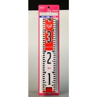 ヤマヨ測定機 リボンロッド両サイド60E2 ディスプレイ用パッケージ 3mBP 幅60mm×長さ3m R6B3B.P 1セット(1個×5)