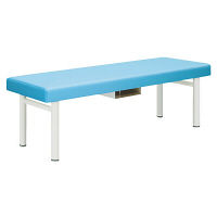 大信工業 折りたたみ診察台 500×1800×500mm DF-C 1台 0-5209-01（直送