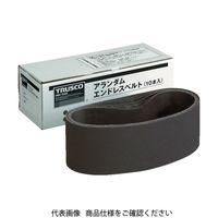 トラスコ中山 TRUSCO エンドレスベルト 76X533 A60 (10本入) TEB76-A60 1箱(10本) 767-3094（直送品）