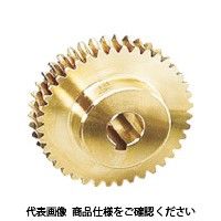 協育歯車工業 KG ウォームギヤ モジュール1.0 アルミニウム青銅鋳物 歯数40 穴径φ8 G1A40L1-P-8 1個 756-4422（直送品）