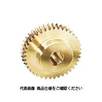 協育歯車工業 KG ウォームホイール G1A50R1=12 モジュール1.0 アルミニウム青銅鋳物 歯数50 穴径φ12 1個（直送品）