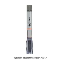 DC SWISS ポイントタップ H420TC-4 M16 111612 1本 762-6479（直送品）