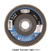 Tyrolit フラップディスク ファストカット 125mm #80 160256 1セット(10枚) 766-0821（直送品）