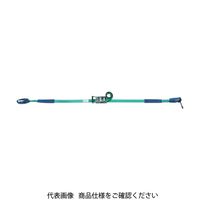 オールセーフ allsafe ラッシングベルト ステンレス製ラチェット式しぼり中荷重 SR3I16 1台(1個) 763-5753（直送品）