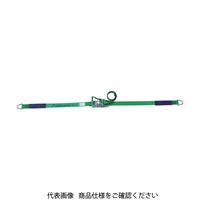 オールセーフ allsafe ラッシングベルト ラチェット式デルタリング仕様重荷重 R5DR14 1台(1個) 763-5354（直送品）