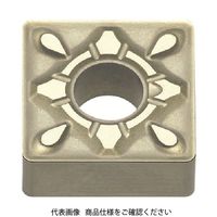 MOLDINO バイト用インサート SNMG120408-AH HG8025 429-5013（直送品）