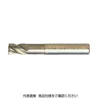 不二越（NACHI） AGミル 4枚刃 ロング 4AGEL 21 x 20 1本（直送品