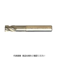 フクダ精工 FKD ラジアスエンドミル4枚刃30×0.5R 4RBE-30X0.5R 1本 810