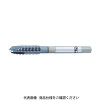 OSG A-ポイントタップ STD M3.5X0.6 8325076 A-POT-STD-M3.5X0.6 635-6338（直送品）