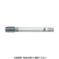 オーエスジー（OSG） OSG 溝なしタップ Xパフォーマー 8322009 S-XPF-B-STD-M3 X 0.5 478-1121（直送品） -  アスクル