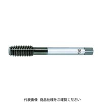 オーエスジー（OSG） OSG VPニューロールタップ 8317433 VP-NRT-B-STD1-M1.7 X 0.35 478-2381（直送品）