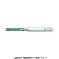 OSG 超硬高硬度鋼用ハンドタップ 3901019 WH55-OT-2.5P-STD-M5 X 0.8 478-2879（直送品）