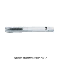 WHR-NI-POT-STD-M6X1（直送品）