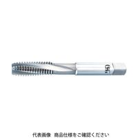 WHR-NI-SFT-STD-M5X0.8（直送品）