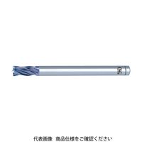 VP-DE-RESF-30（直送品）