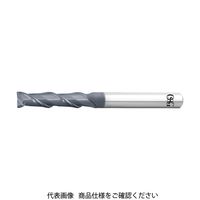 オーエスジー OSG 超硬エンドミル WXL 2刃 4.0D刃長 3182700 WXL-4D-DE-10 1本 632-6285（直送品）