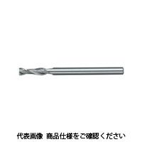 日進工具 NS 樹脂用EM クリアカット Φ0.2X1 RSE230 0.2X1 1個 427-3214（直送品）