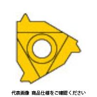 三菱 MMTシリーズ 外径ねじ切り加工 MMTEバイト用 PVDコーティング 全面研削形インサート VP10MF MMT16ER110W（直送品）