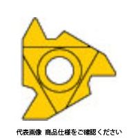 三菱 MMTシリーズ 外径ねじ切り加工 MMTEバイト用 PVDコーティング 全面研削形インサート VP10MF MMT22ERN55（直送品）