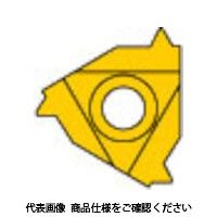 三菱 MMTシリーズ 内径ねじ切り加工 MMTIバイト用 PVDコーティング 全面研削形インサート VP10MF MMT22IR400ISO（直送品）