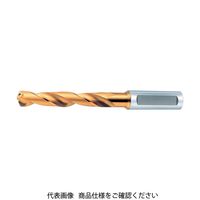 オーエスジー OSG ゴールドドリル 一般加工用MTシャンク レギュラ形 刃径22mm 64720 EX-MT-GDR-22XMT2 1本（直送品）