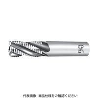 オーエスジー OSG ハイスエンドミル 81548 EX-REES-48 1本 631-0478（直送品）