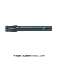 オーエスジー（OSG） OSG タップ 23718 EX-IRT-2-PT1-11 1本 630-1169（直送品）