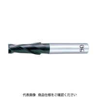 オーエスジー（OSG） OSG 超硬エンドミル 8537260 FX-MG-TPDS-5X1 1本 691-2591（直送品）