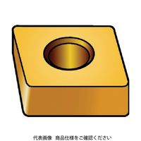 SANDVIK TーMax P 旋削用セラミックネガチップ(610) 6050 CNGA 12 04 08S01525WH（直送品）