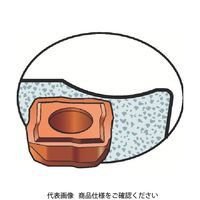 SANDVIK 穴あけ加工用チップ スーパーUドリル(365) 1044 880-02 02 04H-C-GR 1セット(10個)（直送品）