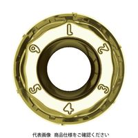 京セラ ミーリング用チップ CVDコーティング CA6535 RPGT1605M0ER-GM 1セット(10個) 654-7541（直送品）