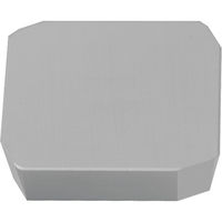 京セラ ミーリング用チップ TN100M SPCN1203XPTR 1セット(10個) 653-5577（直送品）