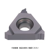 タンガロイ（Tungaloy） タンガロイ 旋削用ねじ切りTACチップ 16ER8UN T313V 1セット（5個） 707-7149（直送品）