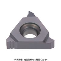 タンガロイ（Tungaloy） タンガロイ 旋削用ねじ切りTACチップ 11IR24UN AH725 1セット（5個） 707-5693（直送品）