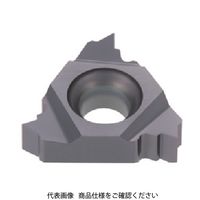 タンガロイ（Tungaloy） タンガロイ 旋削用ねじ切りTACチップ 16ER14NPT AH725 1セット（5個） 707-6266（直送品）