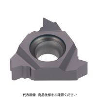 タンガロイ（Tungaloy） タンガロイ 旋削用ねじ切りTACチップ 16IR115NPTF AH725 707-7661（直送品）