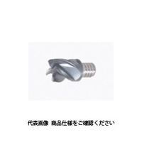 タング・マイスター用ヘッド 4枚刃 スクエアタイプ 不等分割 VEEーI AH725 VEE080L05.0C30I04S05（直送品）