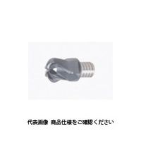 タング・マイスター用ヘッド 研削級6枚刃 ラジアスタイプ VRDー06 AH725 VRD100L05.0R30-06S06（直送品）