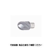 タング・マイスター用ヘッド 研削級2枚刃 ボールタイプ 仕上げ加工用 VBDーBG AH725 VBD100L07.0-BG-02S06（直送品）
