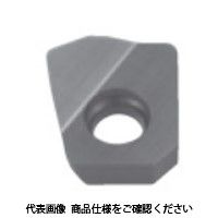 タンガロイ 転削用C.E級TACチップ DS1200 XXGT06H205FC-AJ 1セット(10個) 349-3571（直送品）