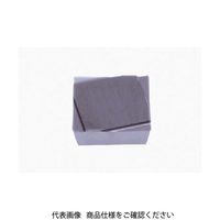 タンガロイ 旋削用G級ポジインサート SPGR090304L NS9530 1セット(10個) 706-3709（直送品）