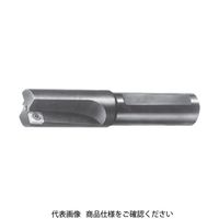 タンガロイ 柄付TACミル TCB-320 1本(1個) 710-3689（直送品）